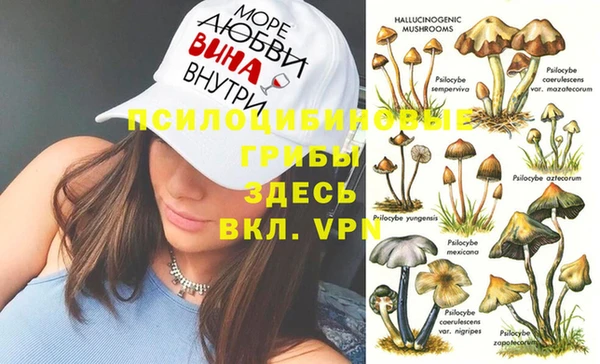 ECSTASY Иноземцево