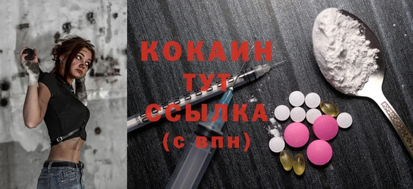 PSILOCYBIN Бородино