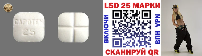 как найти   Ворсма  Лсд 25 экстази ecstasy 