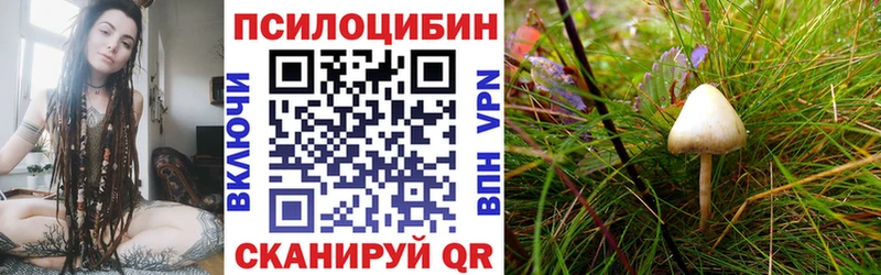 Галлюциногенные грибы Magic Shrooms  где купить   Ворсма 