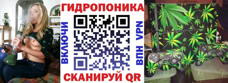 Бошки Шишки VHQ как найти закладки Ворсма